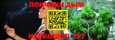 гидра Кимры