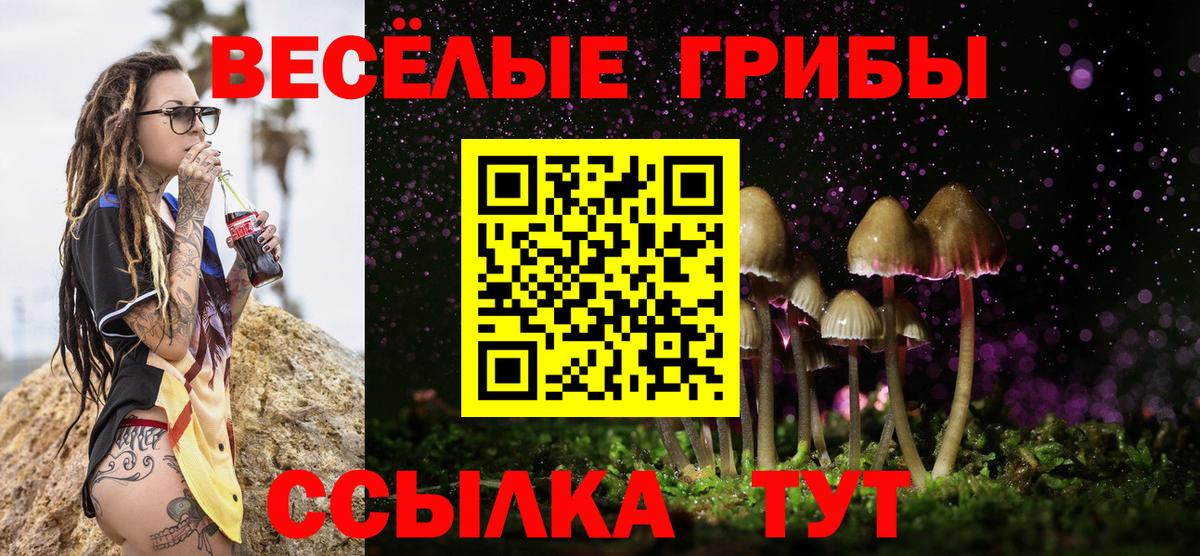 Кудрово  Галлюциногенные грибы Psilocybe  закладки  Вход с VPN  Галлюциногенные грибы ЛСД 